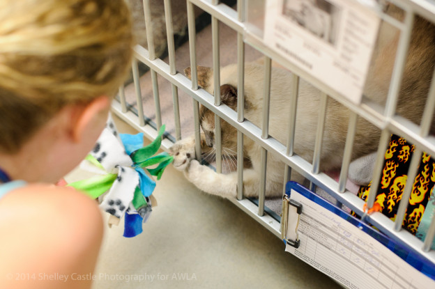 Students Caring for Animals All Year Long