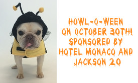 Howl-O-Ween, a Fundraiser for AWLA