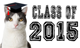 AWLA’s Class of 2015 – June Cat Adoption Event!