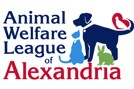 Alexandria Animals - Animal Welfare League of Alexandria | AWLA