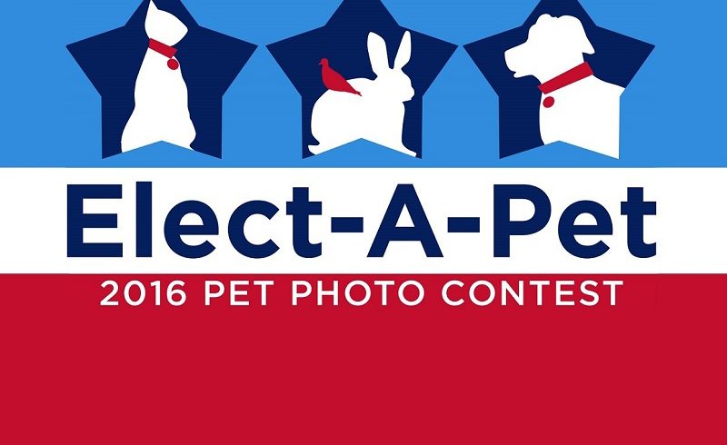 “Elect a Pet” Calendar Contest