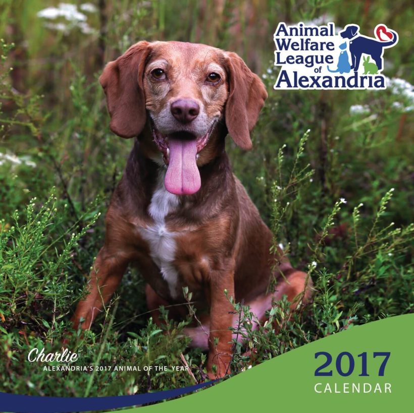 2017 Alexandria Animals of the Year Calendar Now Available