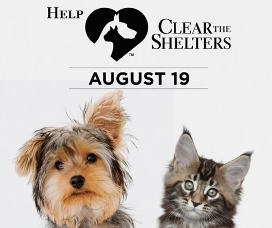 AWLA Clear the Shelters - August 19