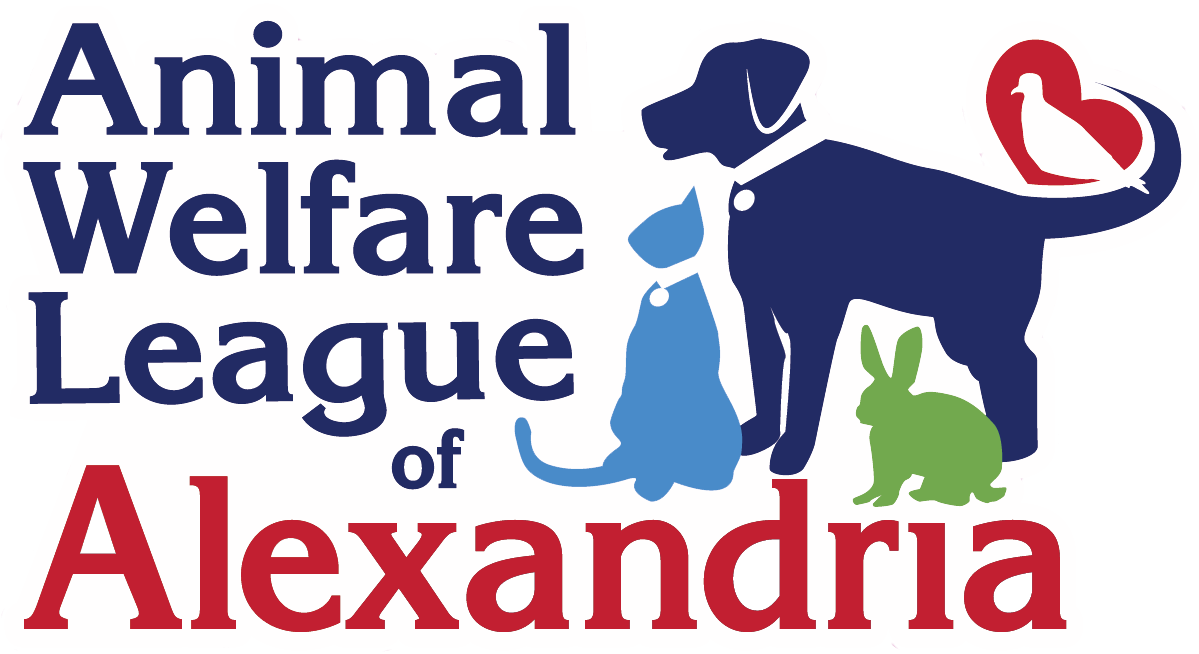 Alexandria Animals Animal Welfare League Of Alexandria Awla