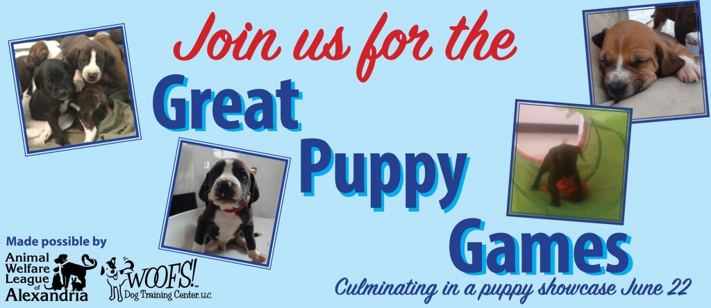 Join us for the Great Puppy Games with AWLA, Showcase June 22