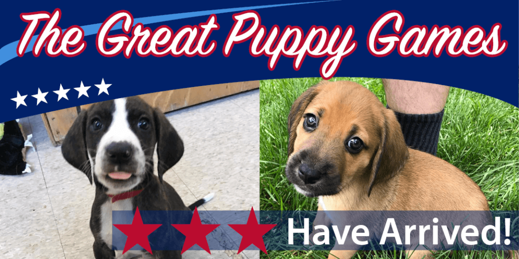 The Great Puppy Games at AWLA