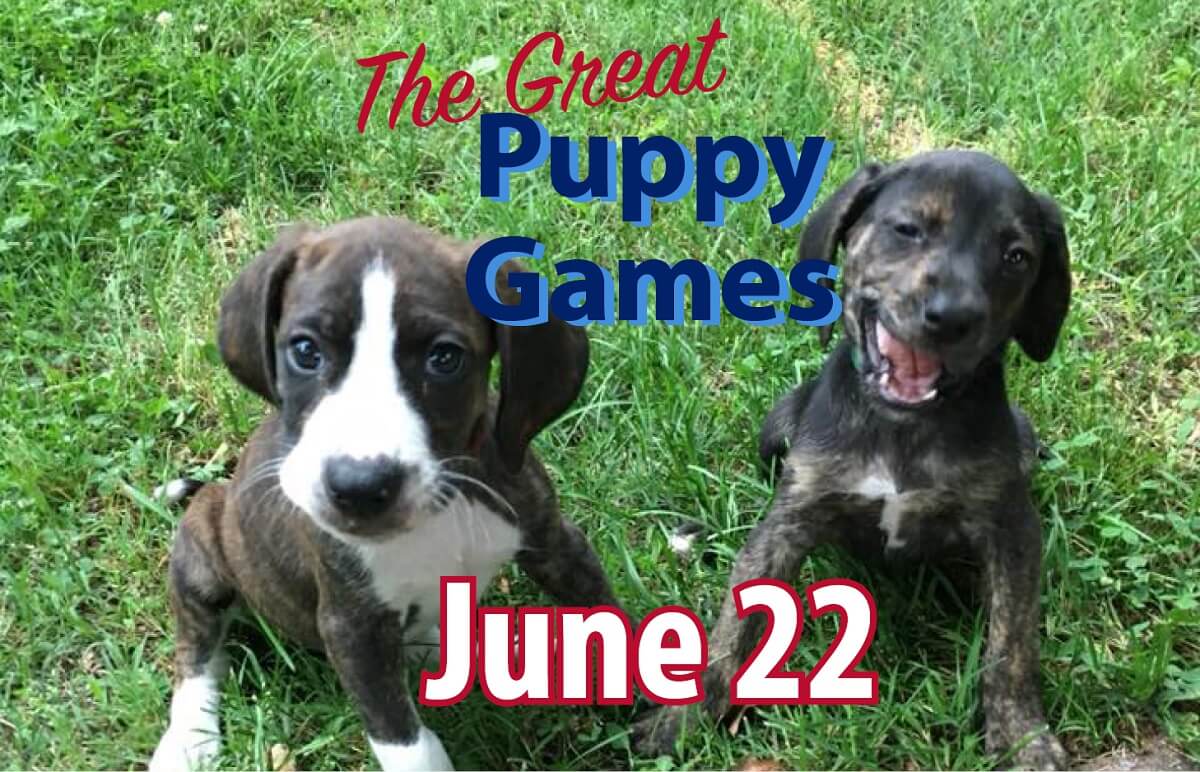 The Great Puppy Games June 22