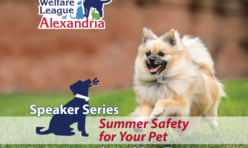 SPEAKER SERIES: Summer Safety for Your Pet