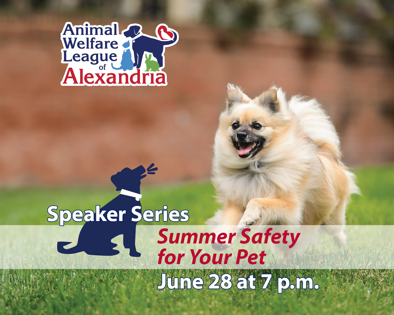 Speaker Series Summer Safety for Your Pet June 28