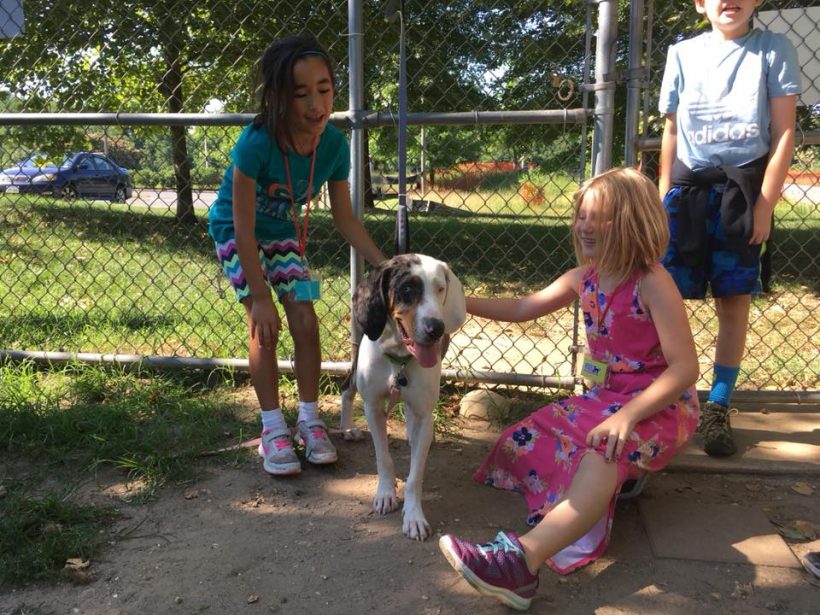 Video From Our Campers: Meeting a New Dog
