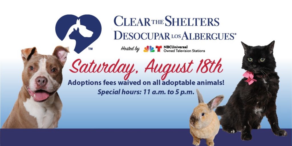 Clear the Shelters 2018 - August 18, 2018 at AWLA