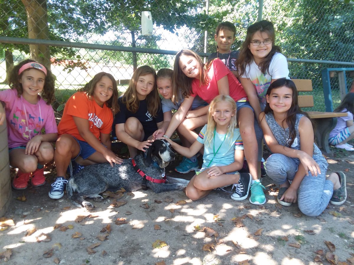 2019 AWLA Summer Camp: 11- to 13-Year-Olds