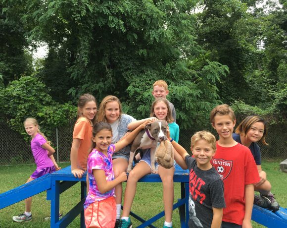 Registration Closed 2019 Awla Summer Camp 6 And 7 Year Olds Alexandria Animals