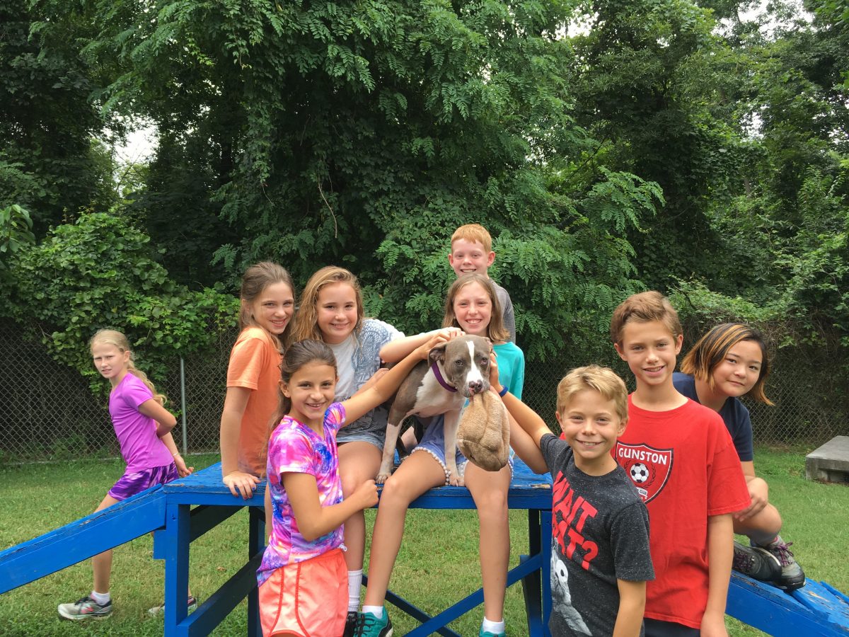 2019 AWLA Summer Camp: 6- and 7-Year-Olds