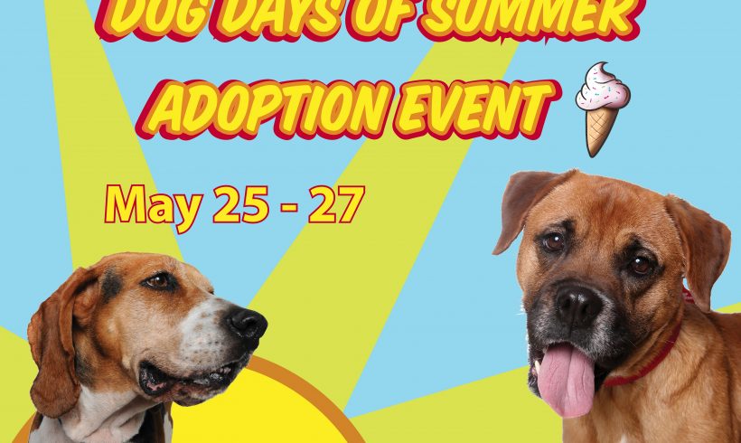 Dog Days of Summer Adoption Event