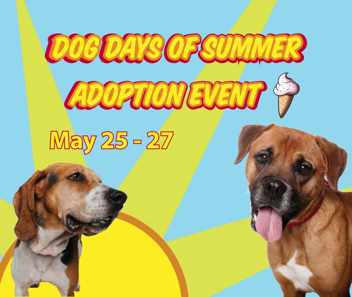 Dog Days of Summer Yard Sale 2019