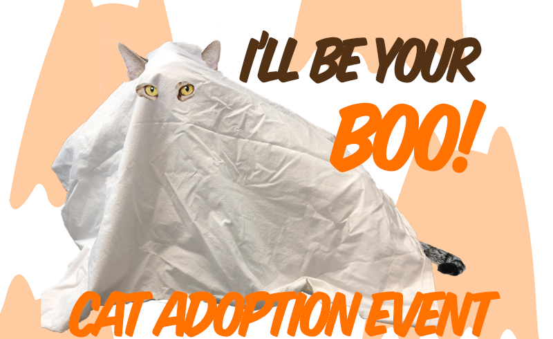 I’ll Be Your Boo – Cat Adoption Event