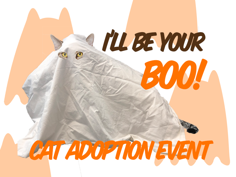 I'll Be Your Boo, Cat Adoption Event