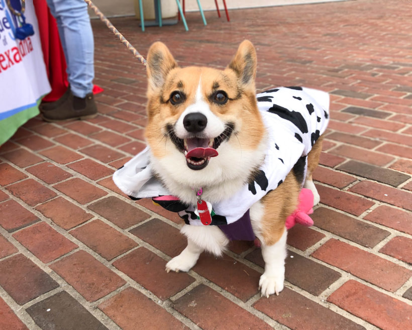 Howl-O-Ween 2019 Round-Up