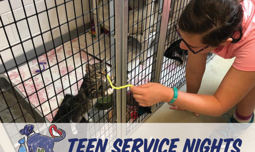 Teen Service Nights
