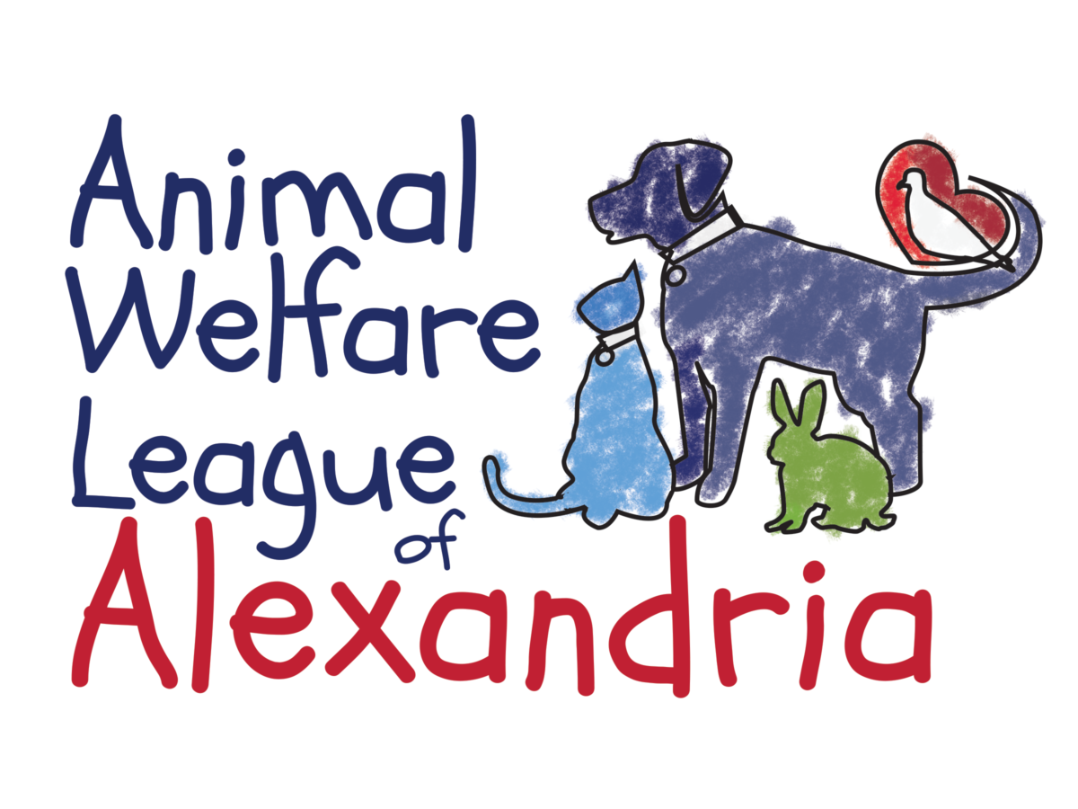 Compassion for Animals: What Does that Mean to You? (AWLA Pawsitive Action  Club) - Alexandria Animals