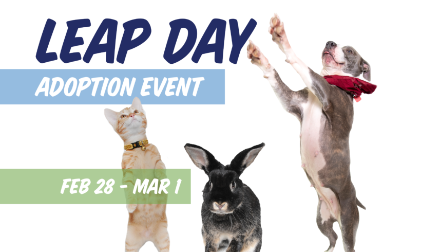 Leap Day Adoption Event