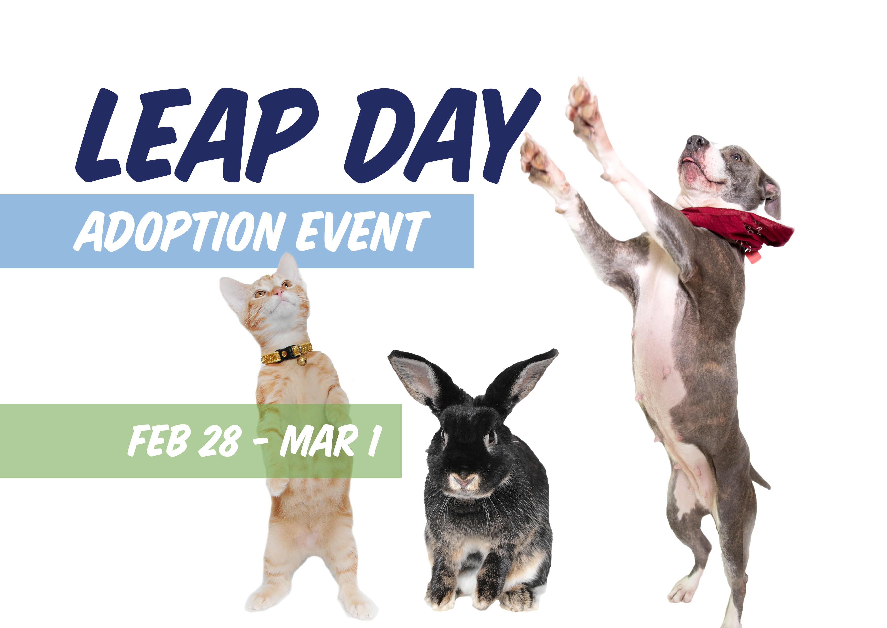 Leap Day Adoption Event