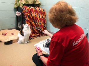 Shelter Staff Jumping Through Hoops to Keep Animals Entertained