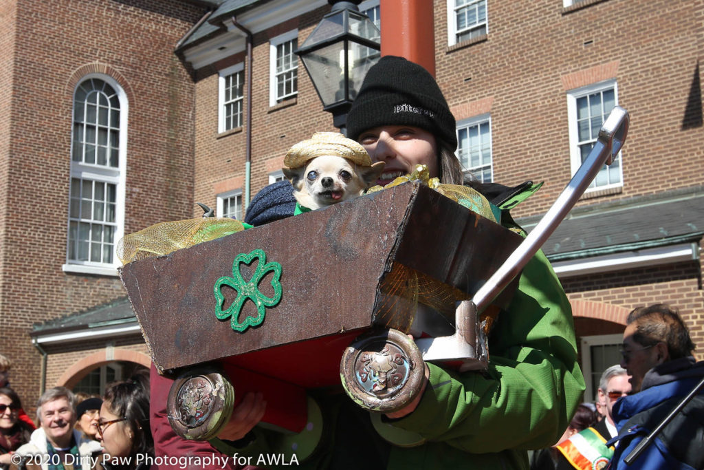 AWLA Fun Dog Show 2020, Photo Courtesy of Dirty Paw Photography