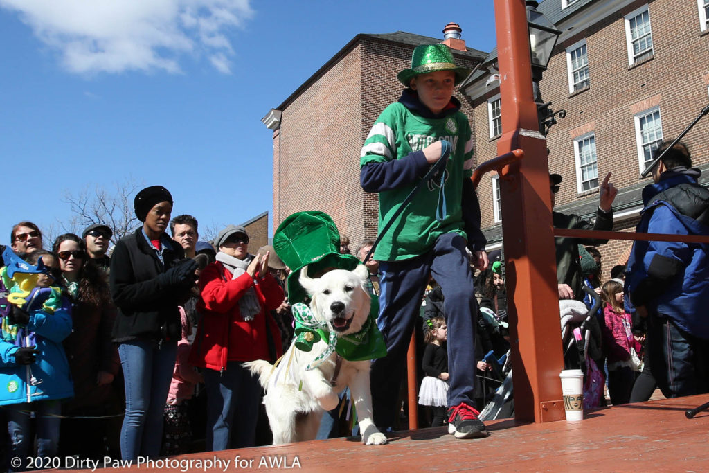 AWLA Fun Dog Show 2020, Photo Courtesy of Dirty Paw Photography