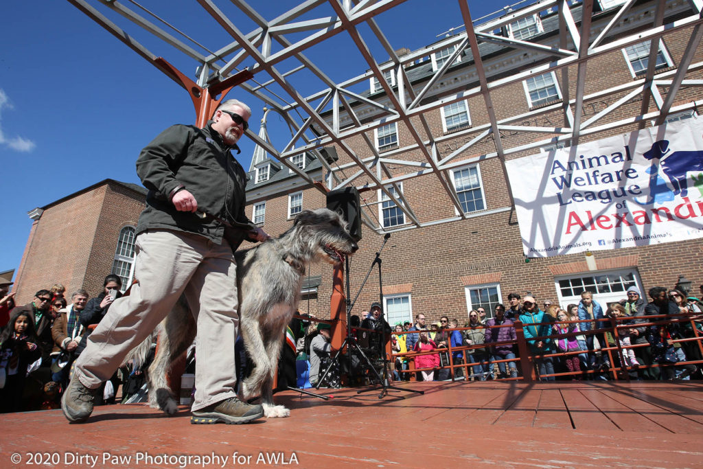 AWLA Fun Dog Show 2020, Photo Courtesy of Dirty Paw Photography