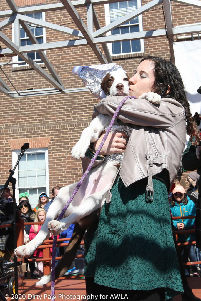 AWLA Fun Dog Show 2020, Photo Courtesy of Dirty Paw Photography