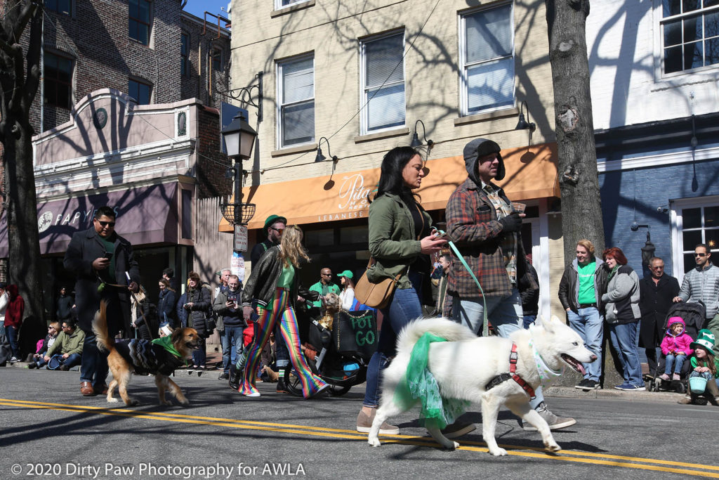 AWLA Fun Dog Show 2020, Photo Courtesy of Dirty Paw Photography