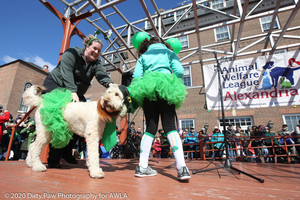 AWLA Fun Dog Show 2020, Photo Courtesy of Dirty Paw Photography