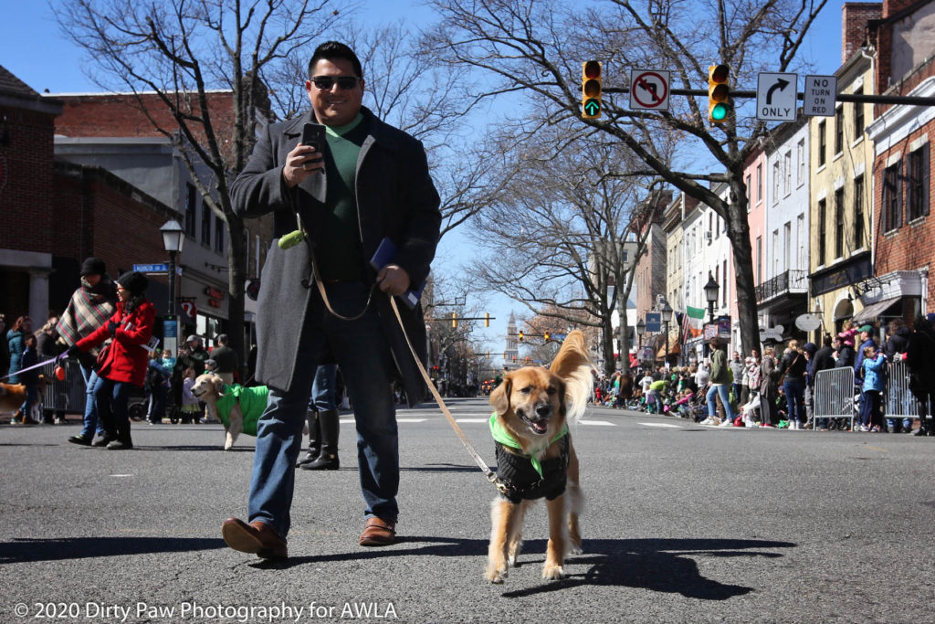 AWLA Fun Dog Show 2020, Photo Courtesy of Dirty Paw Photography