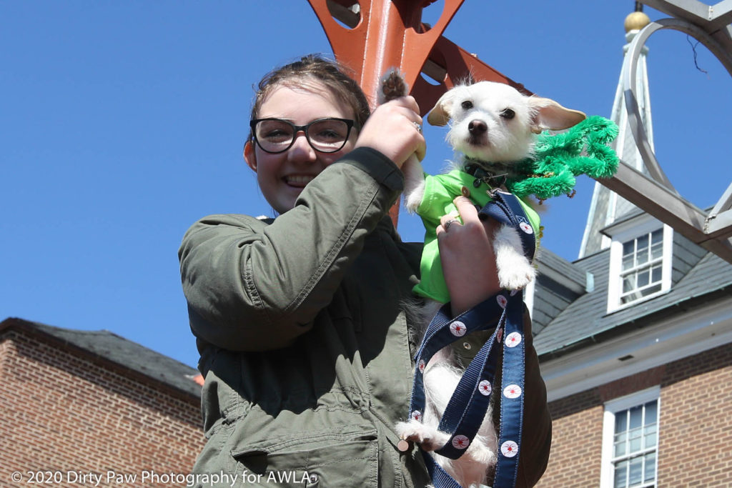 AWLA Fun Dog Show 2020, Photo Courtesy of Dirty Paw Photography