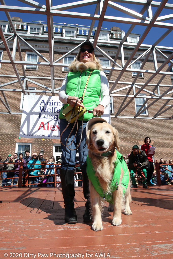 AWLA Fun Dog Show 2020, Photo Courtesy of Dirty Paw Photography