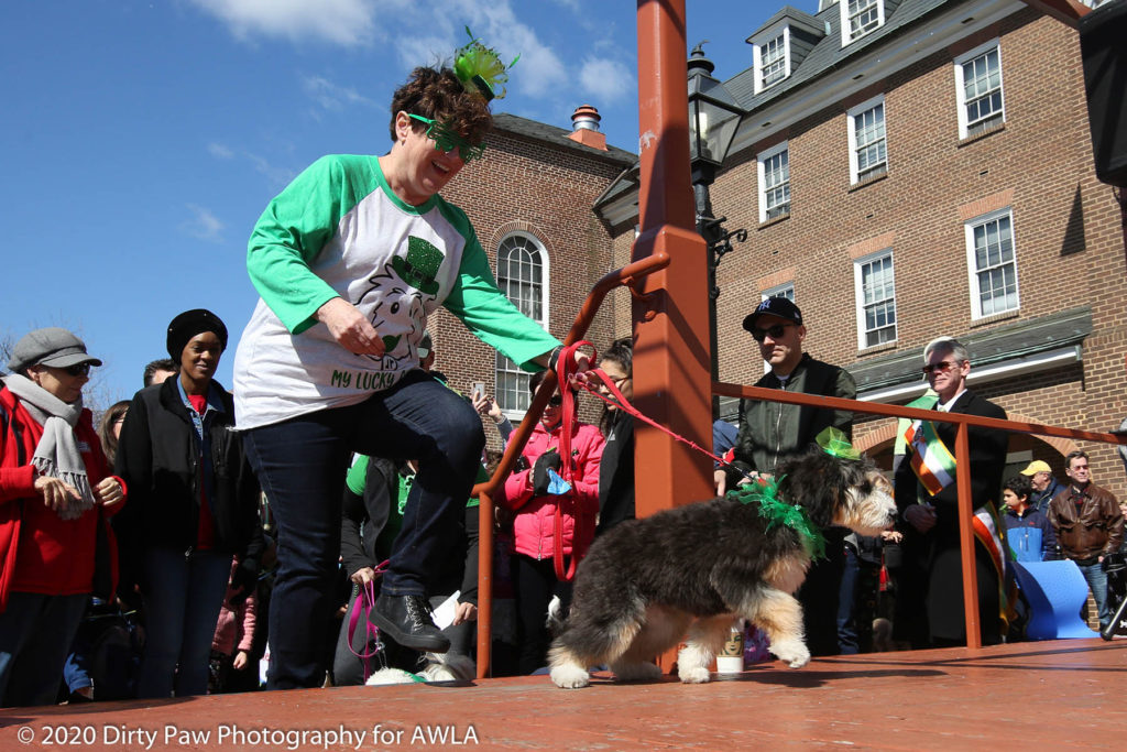 AWLA Fun Dog Show 2020, Photo Courtesy of Dirty Paw Photography