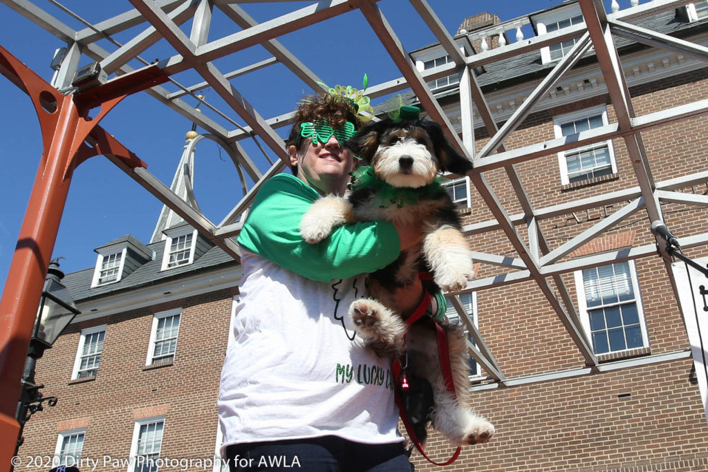 AWLA Fun Dog Show 2020, Photo Courtesy of Dirty Paw Photography