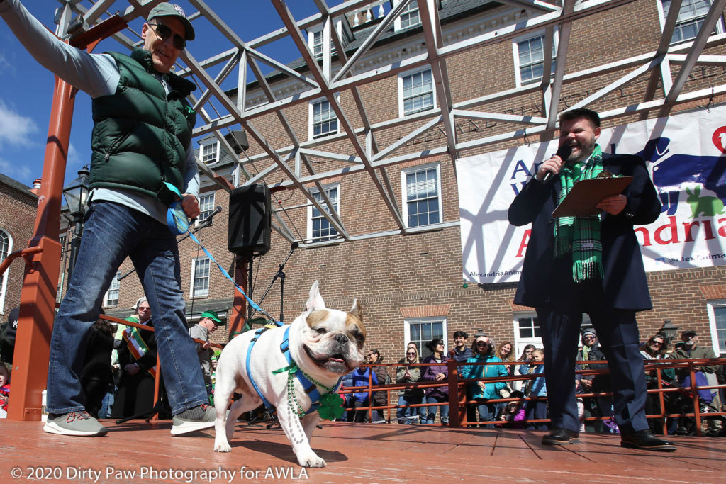 AWLA Fun Dog Show 2020, Photo Courtesy of Dirty Paw Photography