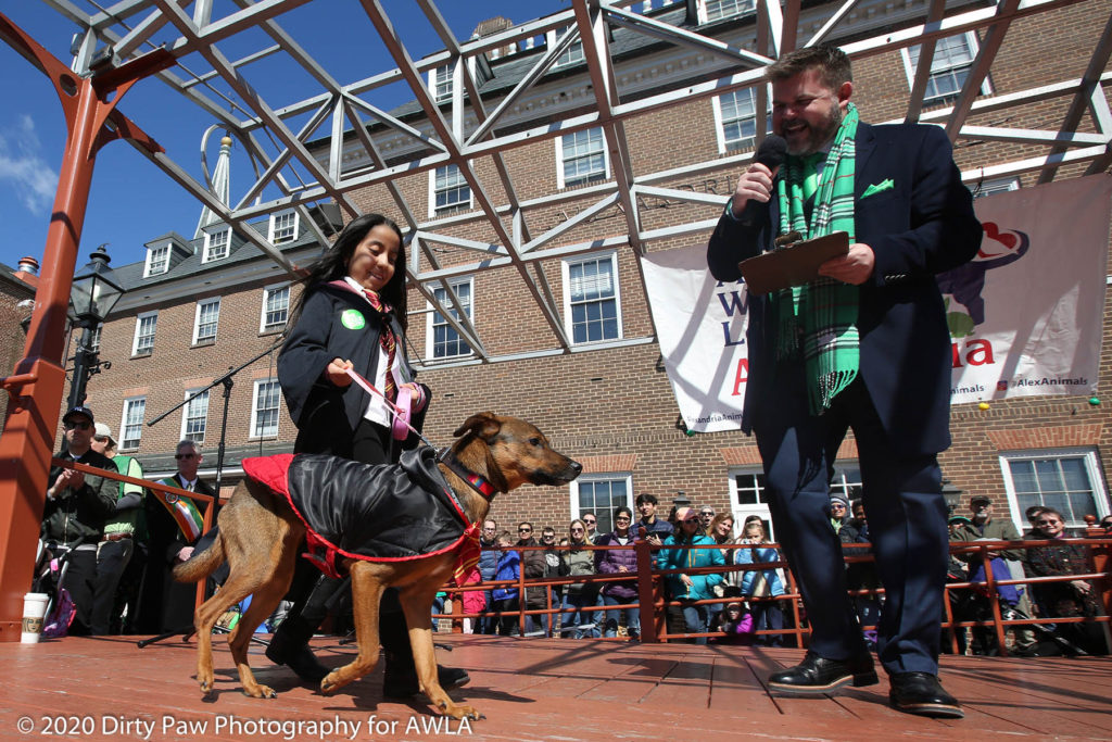 AWLA Fun Dog Show 2020, Photo Courtesy of Dirty Paw Photography