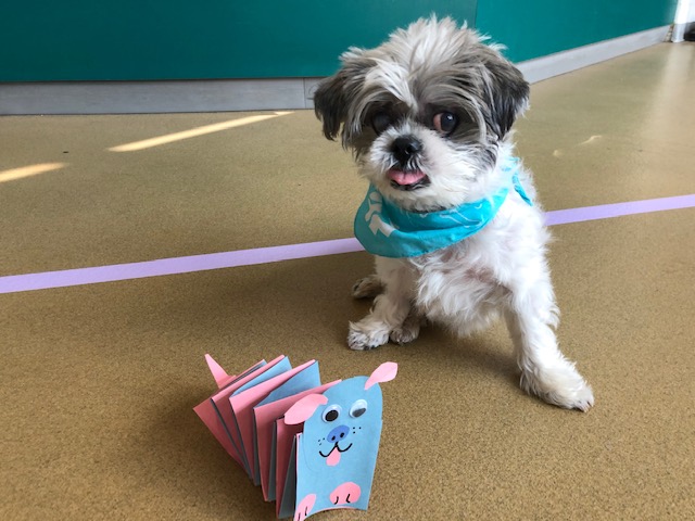 Junior PAWS: Crafts with Carly – Dog Themed Crafts