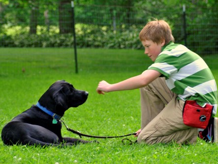 Junior PAWS: Junior Trainers – Clicker-Train Your Dog