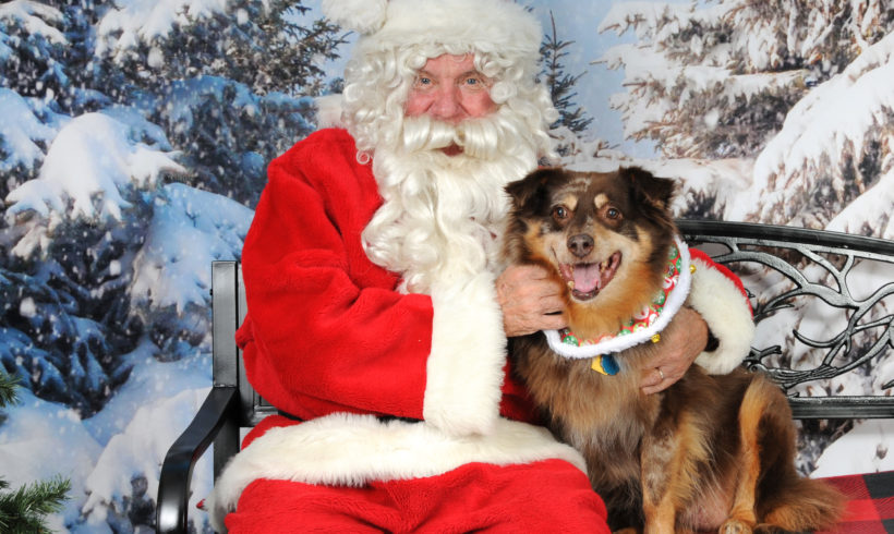 Pet Photos with Santa Paws – BY APPOINTMENT ONLY