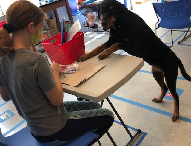 Pawsitive Action Club: Behavior and Training – All About Clicker Training
