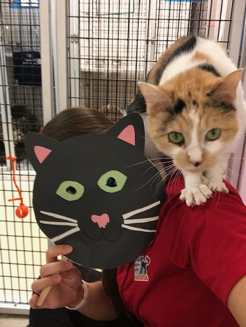 Junior PAWS: Crafts with Carly - Animal Masks (Cindy)