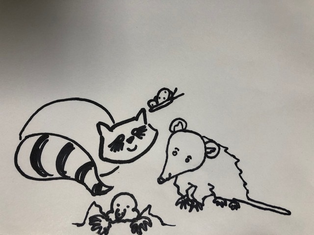 Junior PAWS: Fun and Games – Wildlife Doodles