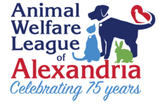 Alexandria Animals Animal Welfare League Of Alexandria Awla