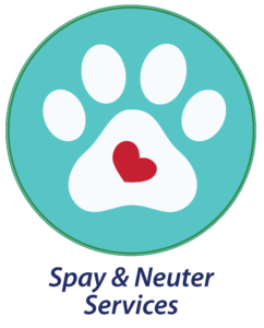 Spay & Neuter Services