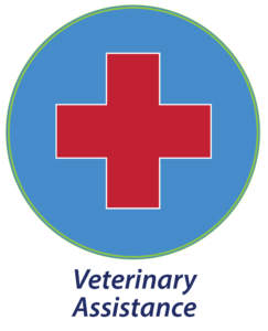 Veterinary Assistance